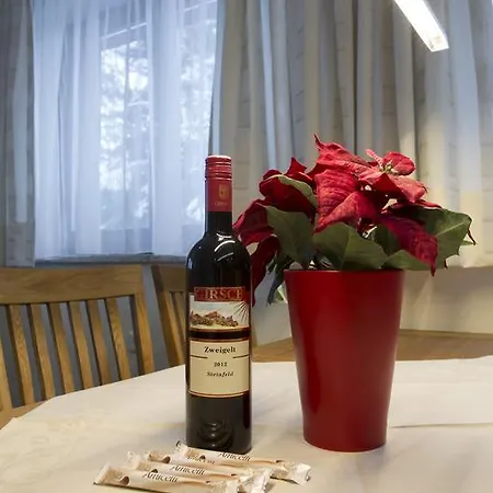 豪斯安德里亚斯酒店 *